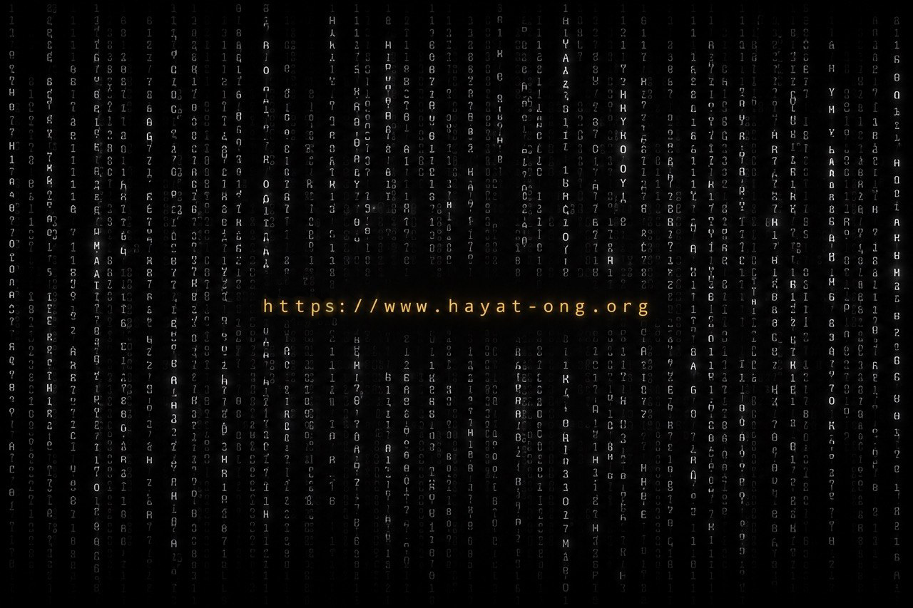 Mise en ligne du site HAYAT